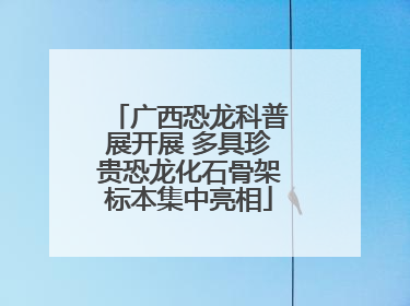 广西恐龙科普展开展 多具珍贵恐龙化石骨架标本集中亮相