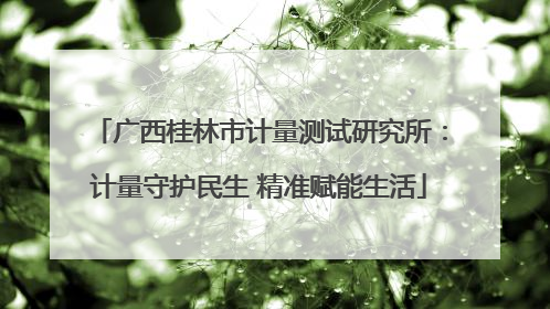 广西桂林市计量测试研究所：计量守护民生 精准赋能生活