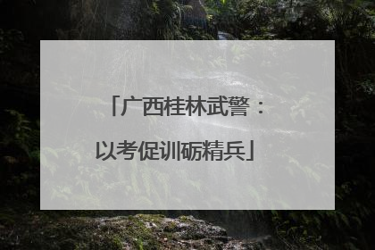 广西桂林武警：以考促训砺精兵