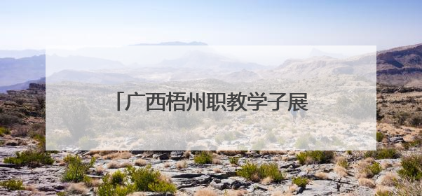广西梧州职教学子展技能 气球上切肉丝