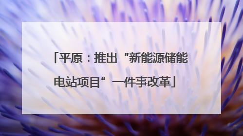 平原：推出“新能源储能电站项目”一件事改革