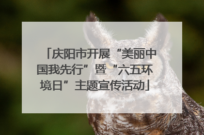 庆阳市开展“美丽中国我先行”暨“六五环境日”主题宣传活动