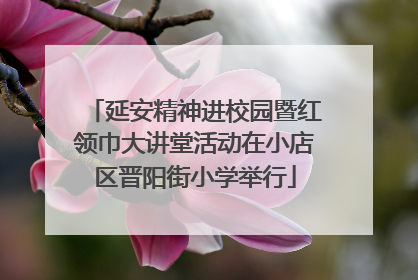 延安精神进校园暨红领巾大讲堂活动在小店区晋阳街小学举行