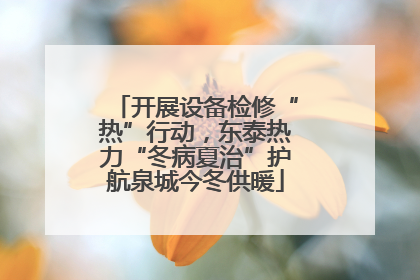 开展设备检修“热”行动，东泰热力“冬病夏治”护航泉城今冬供暖