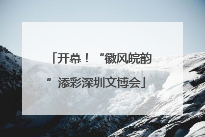 开幕！“徽风皖韵”添彩深圳文博会