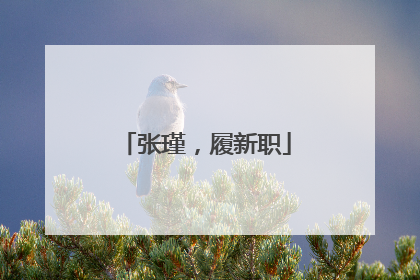 张瑾，履新职