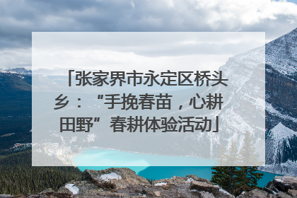 张家界市永定区桥头乡：“手挽春苗，心耕田野”春耕体验活动