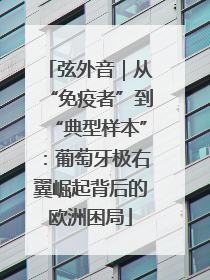弦外音｜从“免疫者”到“典型样本”：葡萄牙极右翼崛起背后的欧洲困局