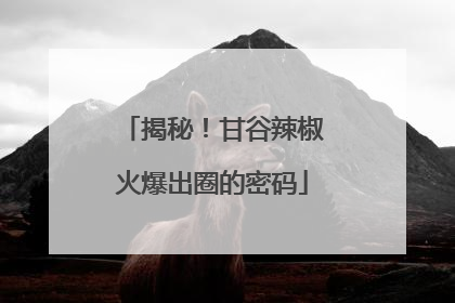 揭秘！甘谷辣椒火爆出圈的密码
