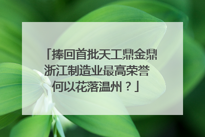 捧回首批天工鼎金鼎 浙江制造业最高荣誉何以花落温州？