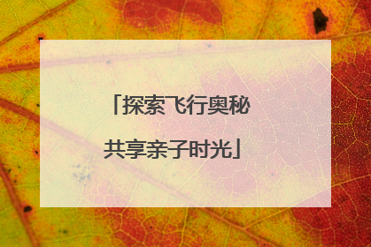 探索飞行奥秘 共享亲子时光