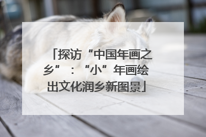 探访“中国年画之乡”：“小”年画绘出文化润乡新图景