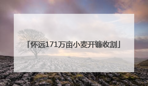 怀远171万亩小麦开镰收割