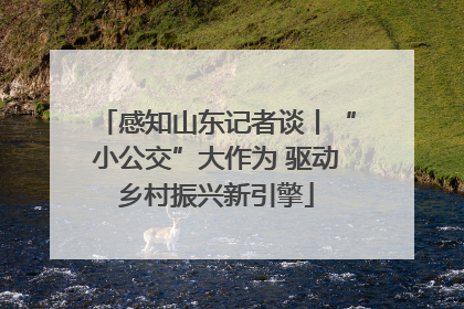 感知山东记者谈丨“小公交”大作为 驱动乡村振兴新引擎