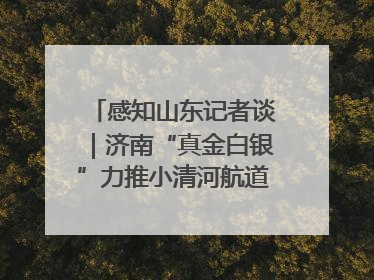 感知山东记者谈｜济南“真金白银”力推小清河航道 黄金水道激活区域经济新动能