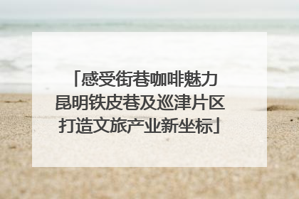 感受街巷咖啡魅力 昆明铁皮巷及巡津片区打造文旅产业新坐标