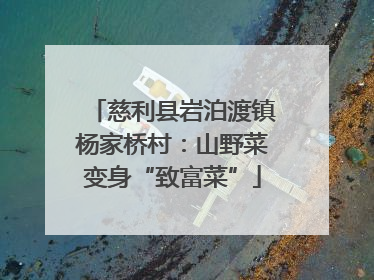 慈利县岩泊渡镇杨家桥村：山野菜变身“致富菜”