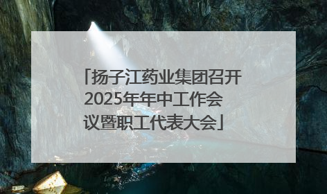 扬子江药业集团召开2025年年中工作会议暨职工代表大会