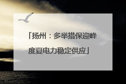 扬州：多举措保迎峰度夏电力稳定供应
