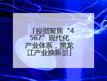 投资聚焦“4567”现代化产业体系，黑龙江产业换新景