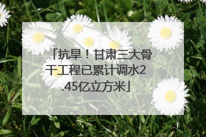 抗旱！甘肃三大骨干工程已累计调水2.45亿立方米