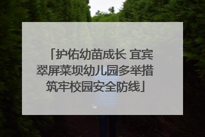 护佑幼苗成长 宜宾翠屏菜坝幼儿园多举措筑牢校园安全防线