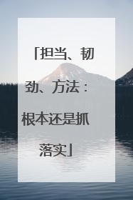担当、韧劲、方法：根本还是抓落实