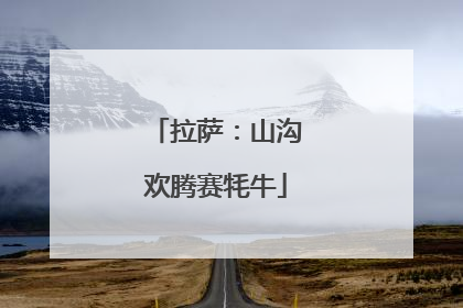 拉萨：山沟欢腾赛牦牛