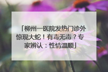 柳州一医院发热门诊外惊现大蛇！有毒无毒？专家辨认：性情温顺