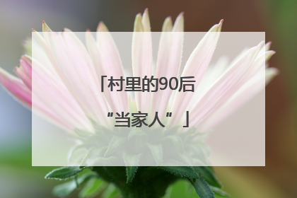 村里的90后“当家人”