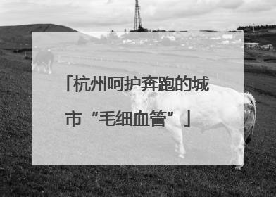 杭州呵护奔跑的城市“毛细血管”