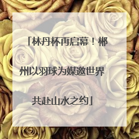 林丹杯再启幕！郴州以羽球为媒邀世界共赴山水之约