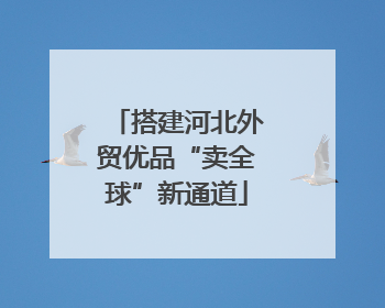搭建河北外贸优品“卖全球”新通道