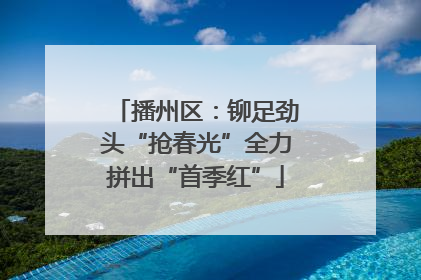 播州区：铆足劲头“抢春光”全力拼出“首季红”