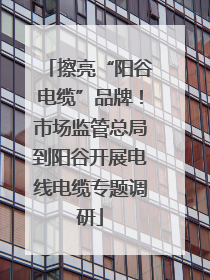 擦亮“阳谷电缆”品牌！市场监管总局到阳谷开展电线电缆专题调研