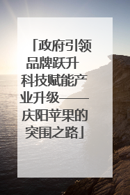 政府引领品牌跃升 科技赋能产业升级——庆阳苹果的突围之路
