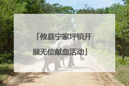 攸县宁家坪镇开展无偿献血活动