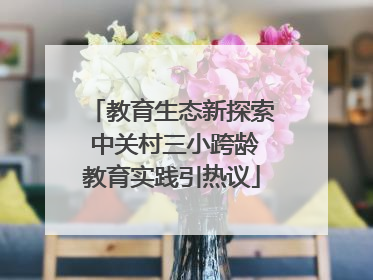 教育生态新探索 中关村三小跨龄教育实践引热议