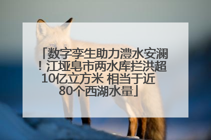 数字孪生助力澧水安澜！江垭皂市两水库拦洪超10亿立方米 相当于近80个西湖水量
