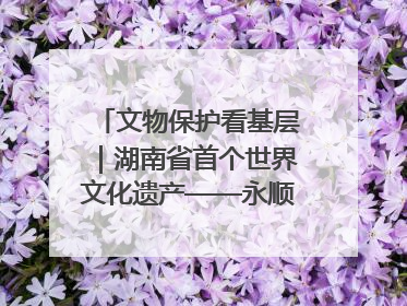 文物保护看基层｜湖南省首个世界文化遗产——永顺老司城遗址