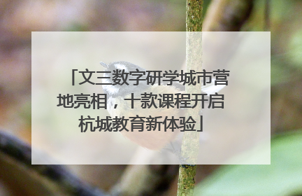 文三数字研学城市营地亮相，十款课程开启杭城教育新体验