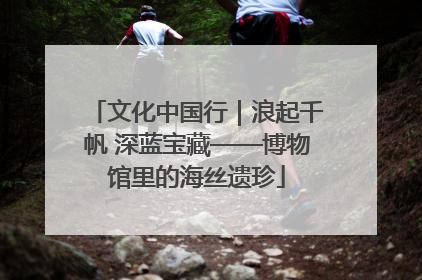 文化中国行｜浪起千帆 深蓝宝藏——博物馆里的海丝遗珍