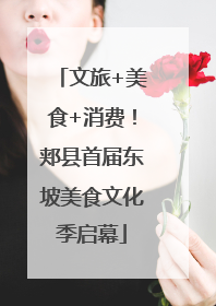 文旅+美食+消费！郏县首届东坡美食文化季启幕