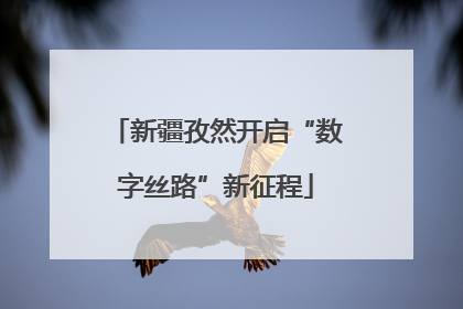 新疆孜然开启“数字丝路”新征程