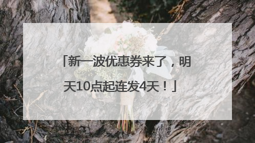 新一波优惠券来了，明天10点起连发4天！
