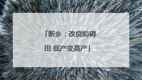 新乡：改良障碍田 低产变高产