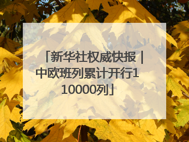 新华社权威快报｜中欧班列累计开行110000列