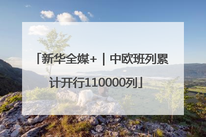 新华全媒+｜中欧班列累计开行110000列