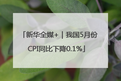 新华全媒+｜我国5月份CPI同比下降0.1%