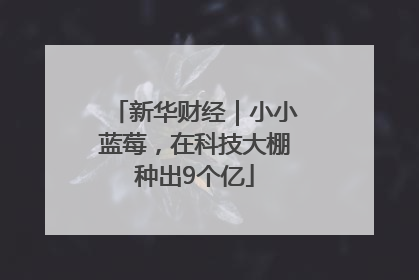 新华财经｜小小蓝莓，在科技大棚种出9个亿